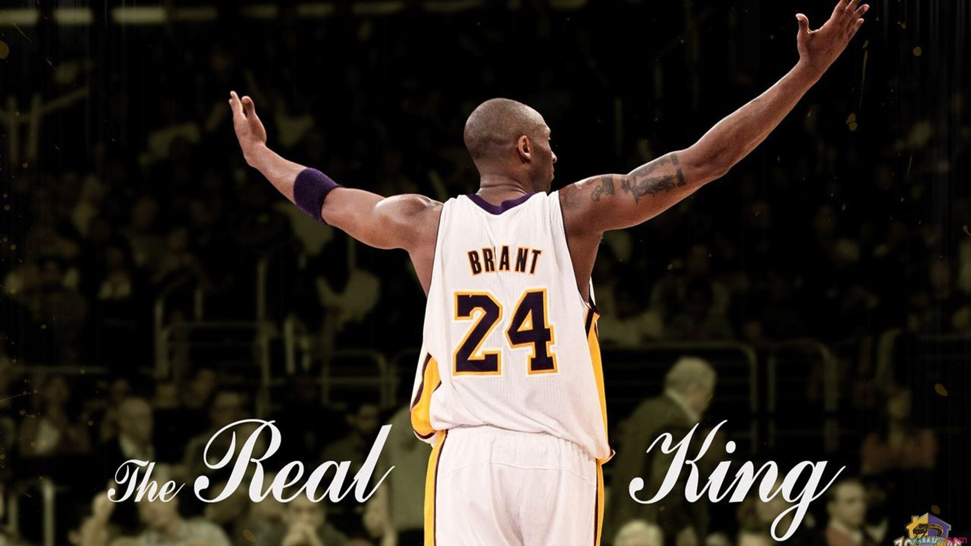 球员在节奏高压中应如何分配注意力资源