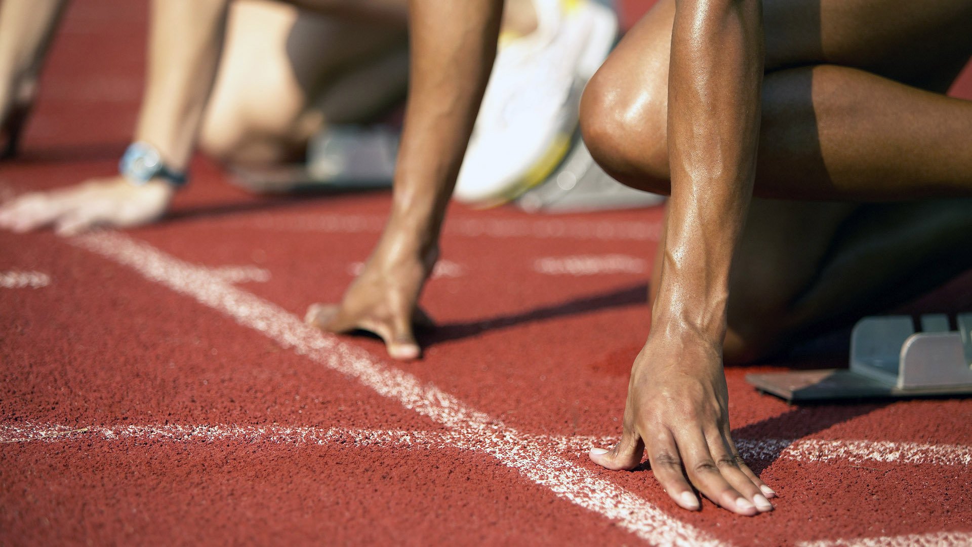 开云官方-哥伦比亚马术协会设立“Sinjska Alka”奖学金，支持传统马术研究。